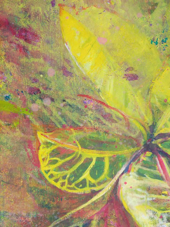 Croton in yellow