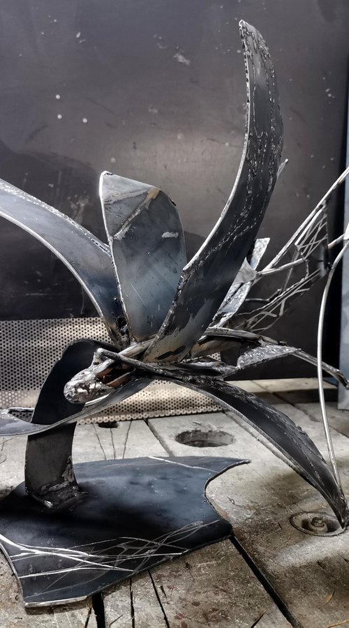 Unique welded iron sculpture beautiful space effects Star bird playing with her shape signed O KLOSKA by Kloska Ovidiu