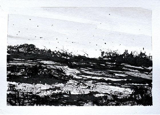 Scrubland
