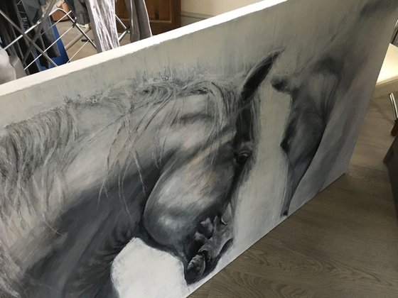 Horses Eye to Eye, large grey/white horse