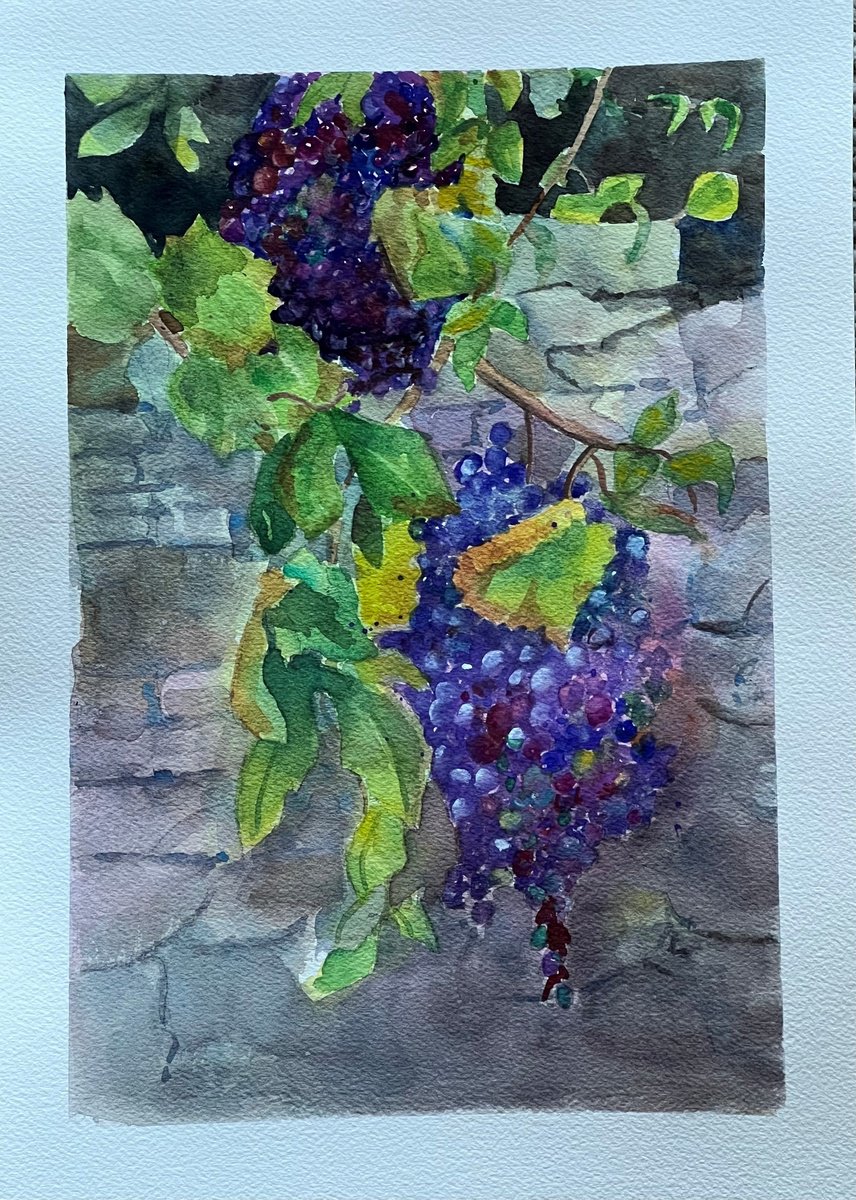 Impressionistic Still Life Watercolour By Bronwen Jones, 10 X 14, Clusters Of Grapes, Original Artwork