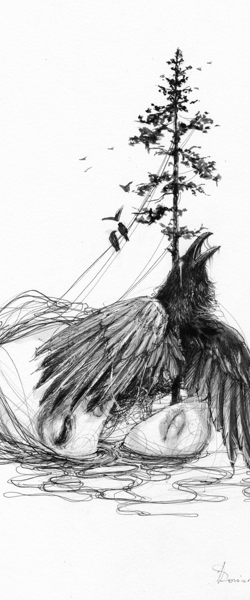 Raven by Doriana Popa