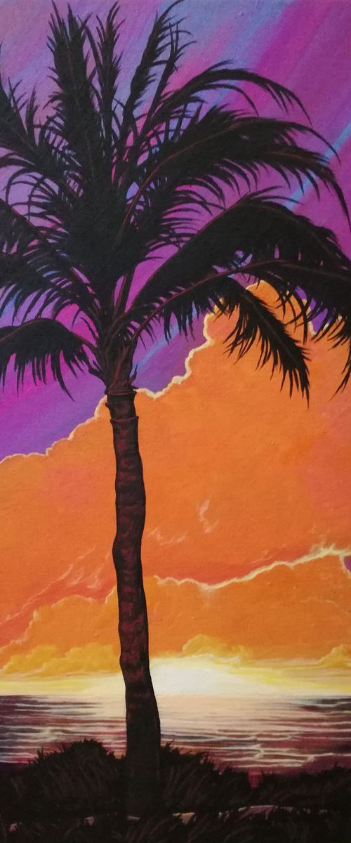 Palm tree sunset by Zoe Adams