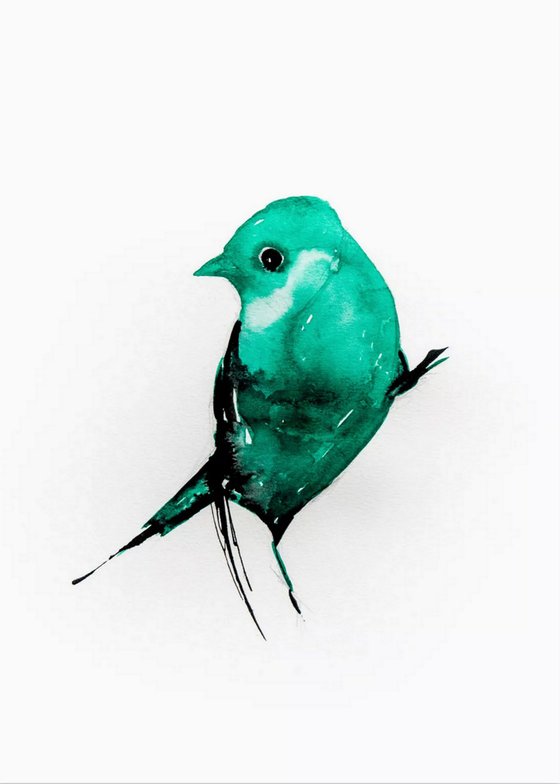Birds