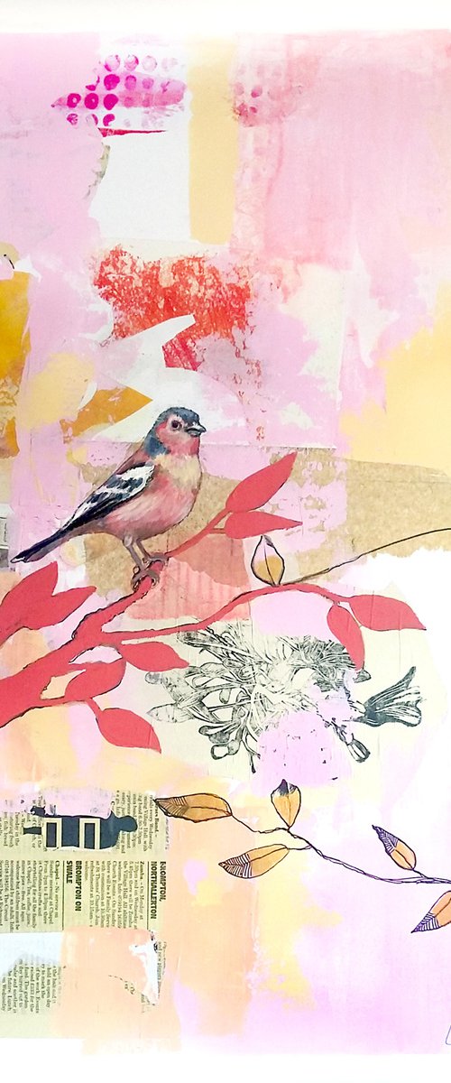 Chaffinch by Carolynne Coulson