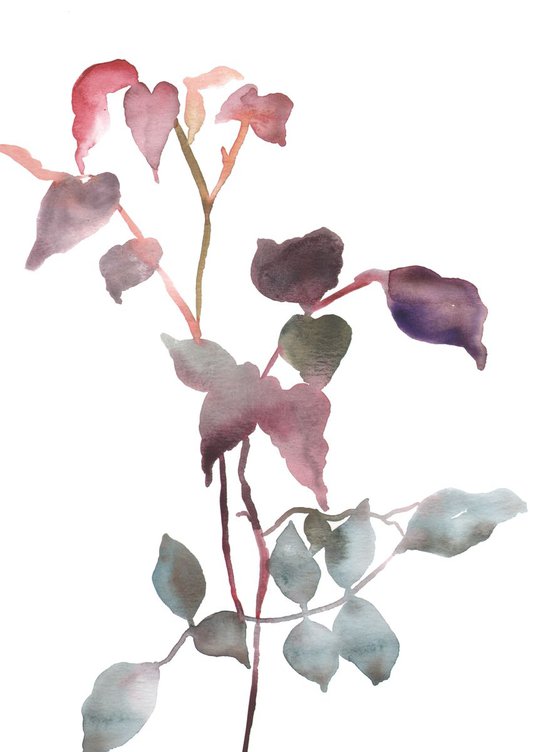 Rose Study No. 25