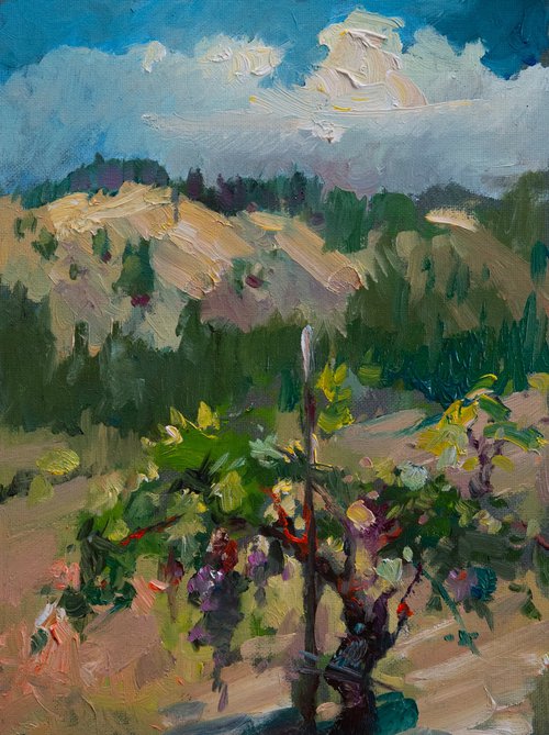 Winery In Napa Valley (study) by Sergei Yatsenko