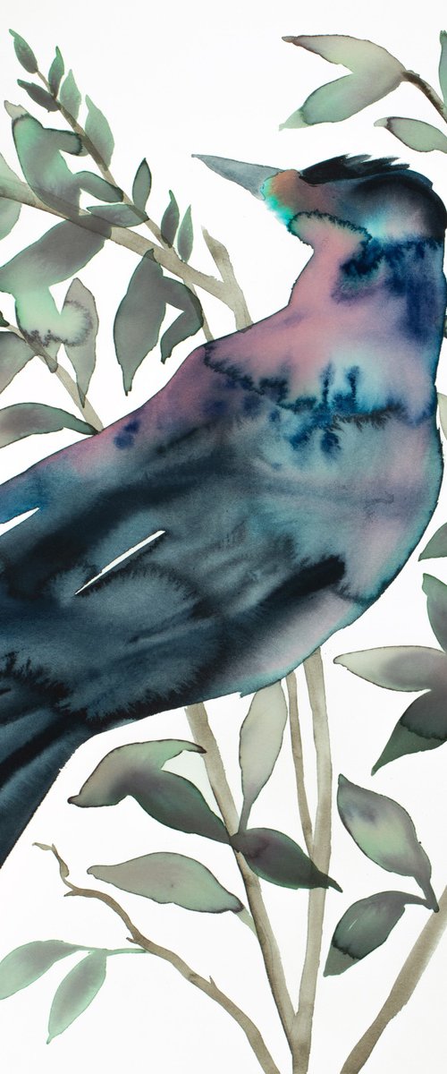 Grackle No. 3 by Elizabeth Becker