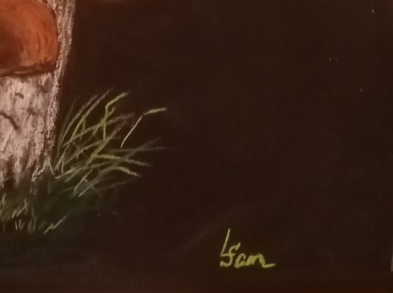 Family of mushrooms at Dusk