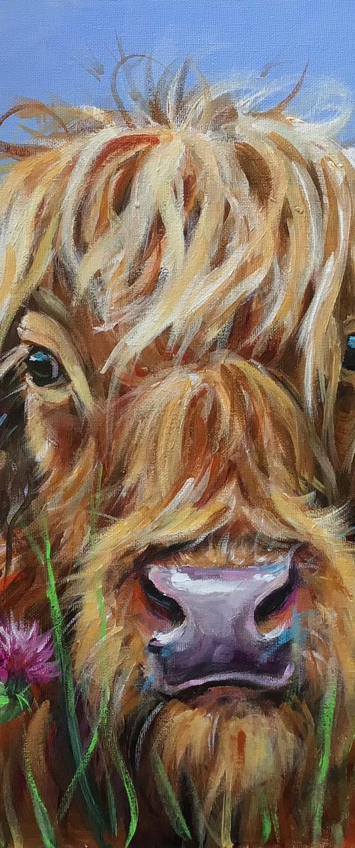 Cow and Thistles by Louise Brown