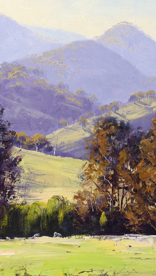 Hilly Landscape Mudgee by Graham Gercken