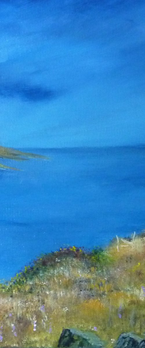 Applecross, A Quiet Coast by Margaret Denholm