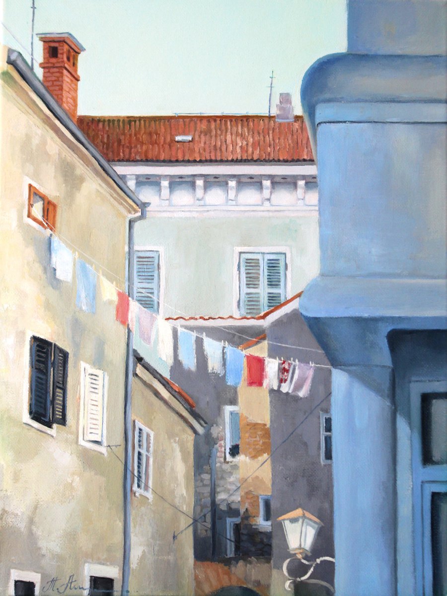 Old street of Rovinj by Tatiana Alekseeva