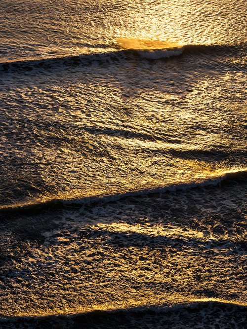 GOLDEN WAVES by Andrew Lever