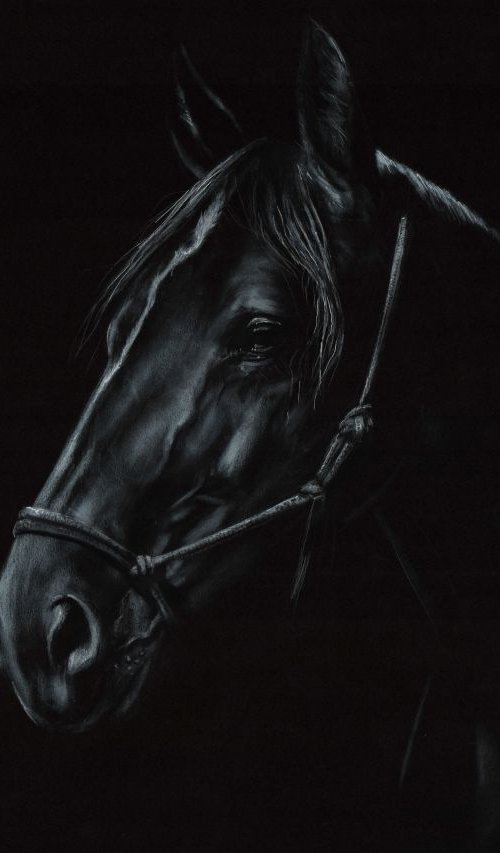In The Dark by Danguole Serstinskaja
