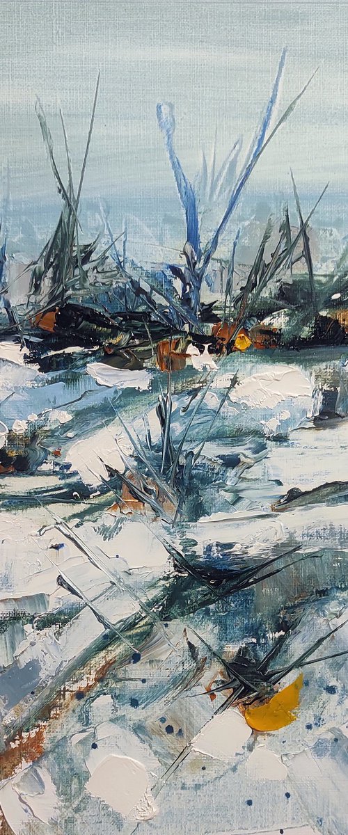 Snow in the Heath by franco orsi