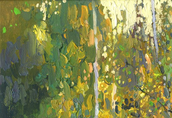 Birch trees at sunset in September