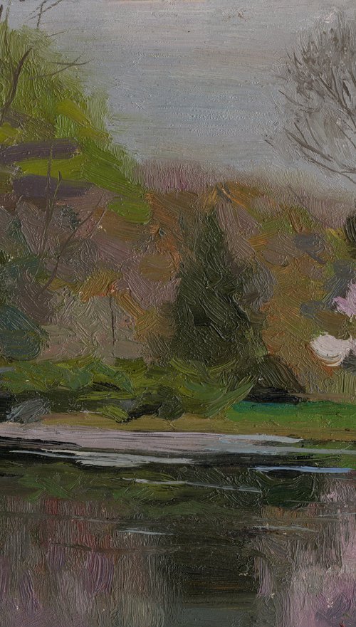 Japanese garden. Sakura blossom by Simon Kozhin