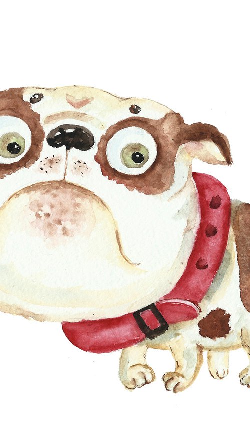 English bulldog by Elena Razina