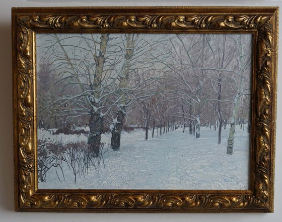 Snow-covered boulevard in Maryino