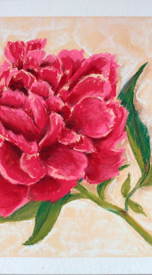 Peony by Salana Art Gallery