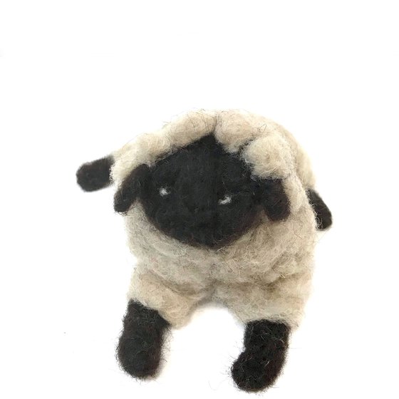 Black-headed sheep, wool