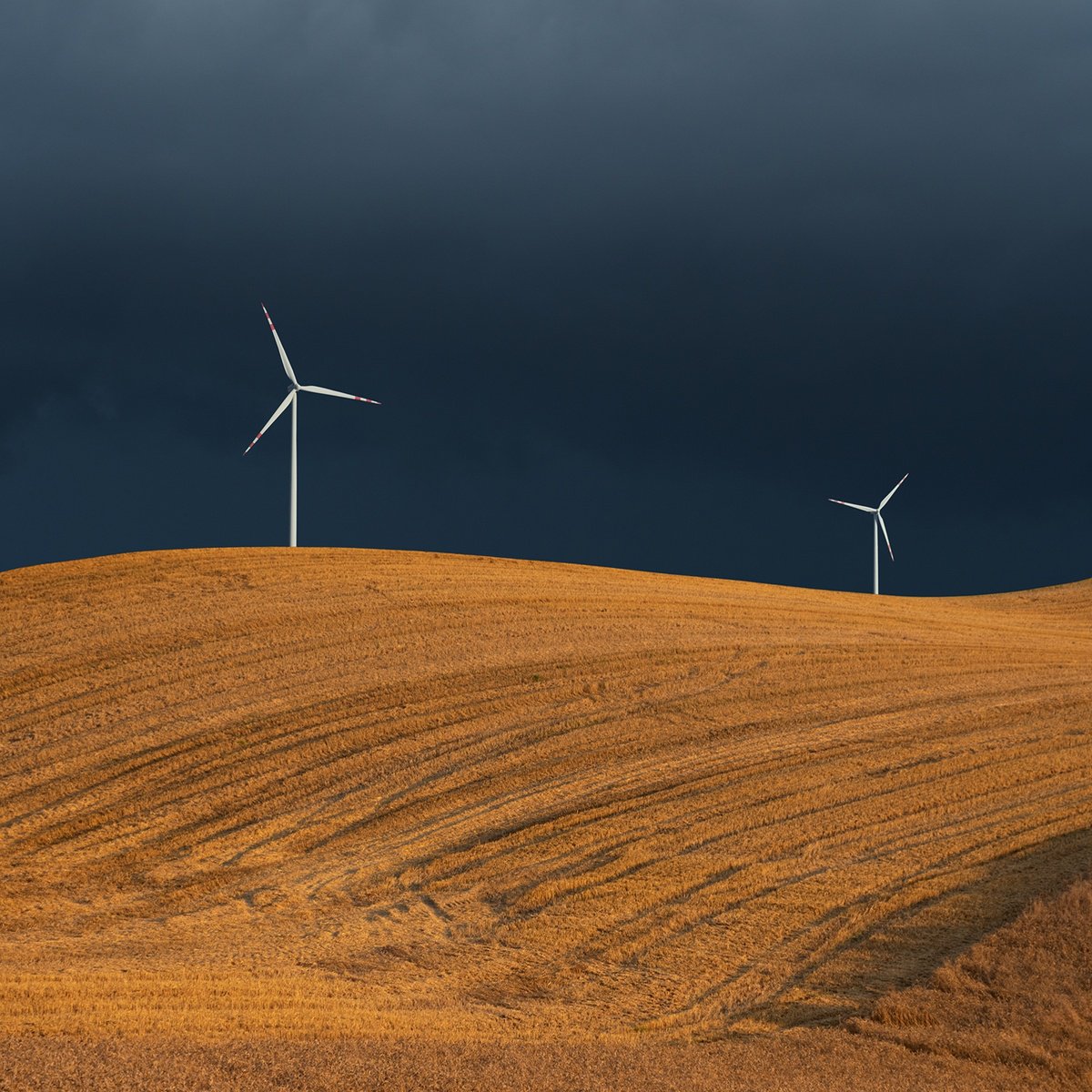 Two windmills by Jacek Falmur