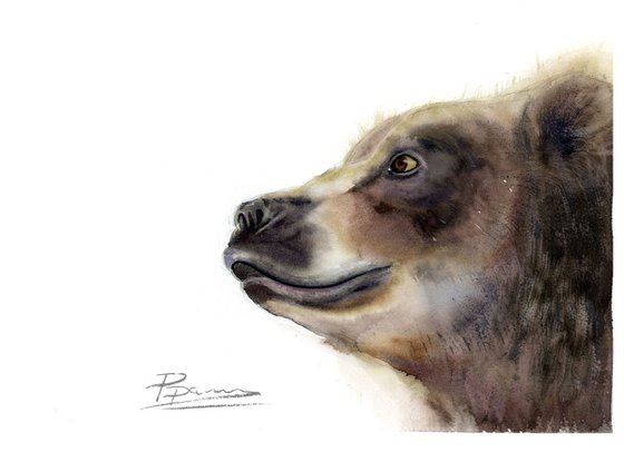 Bear