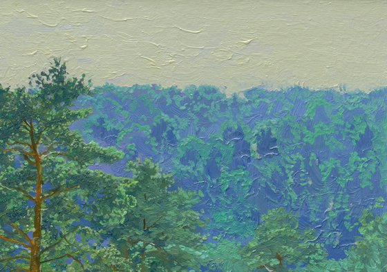 Pine grove