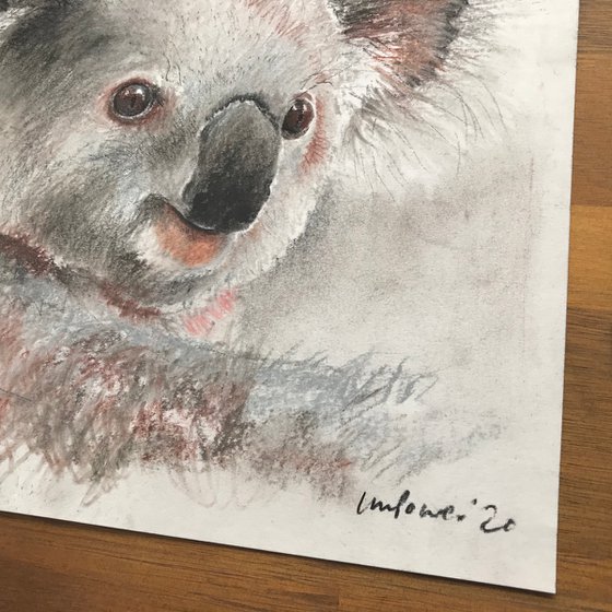 Charcoal Koala #01