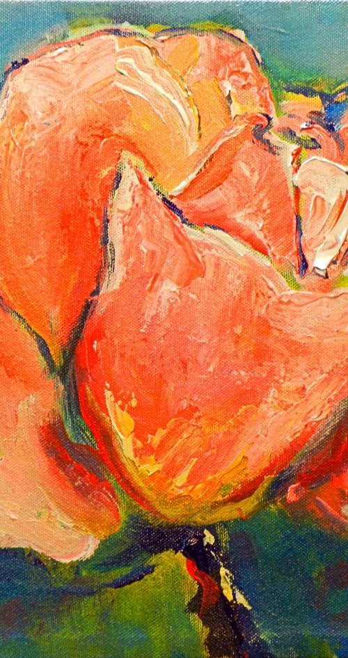 Pink Rose II 14x11 by BenWill
