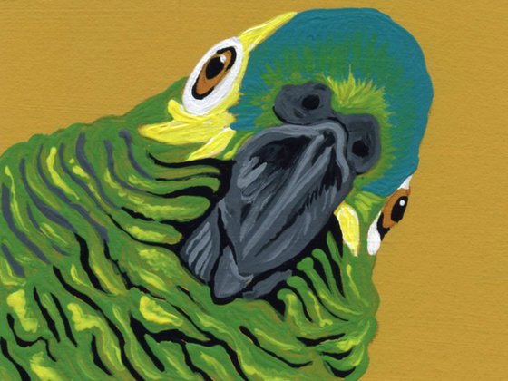 ACEO ATC Original Miniature Painting Blue Head Amazon Parrot Pet Bird Art-Carla Smale