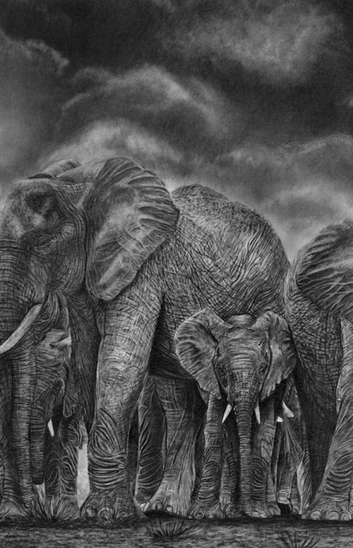 Family by Paul Stowe