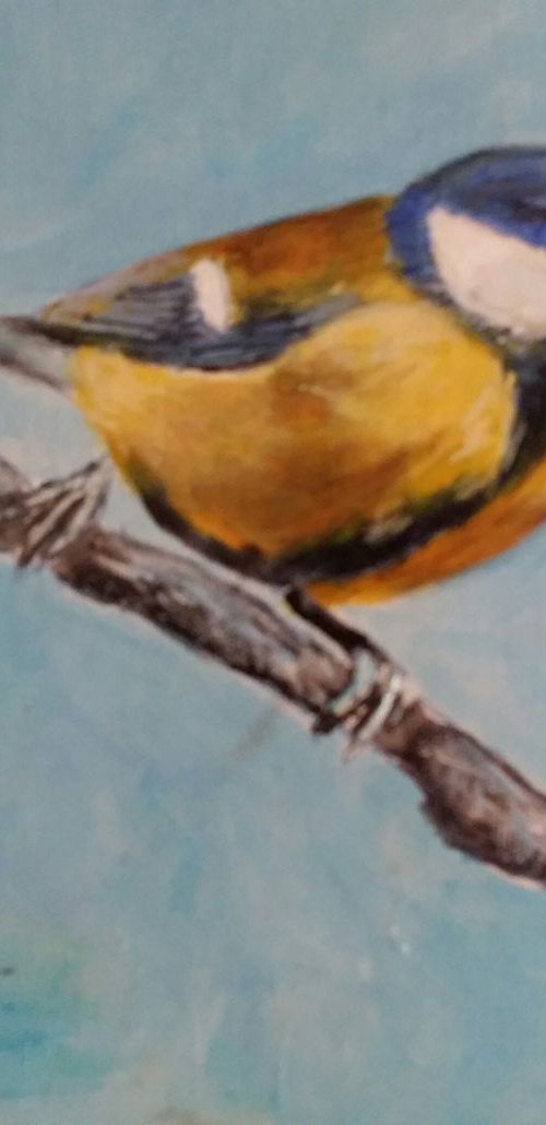 Blue tit by Els Driesen