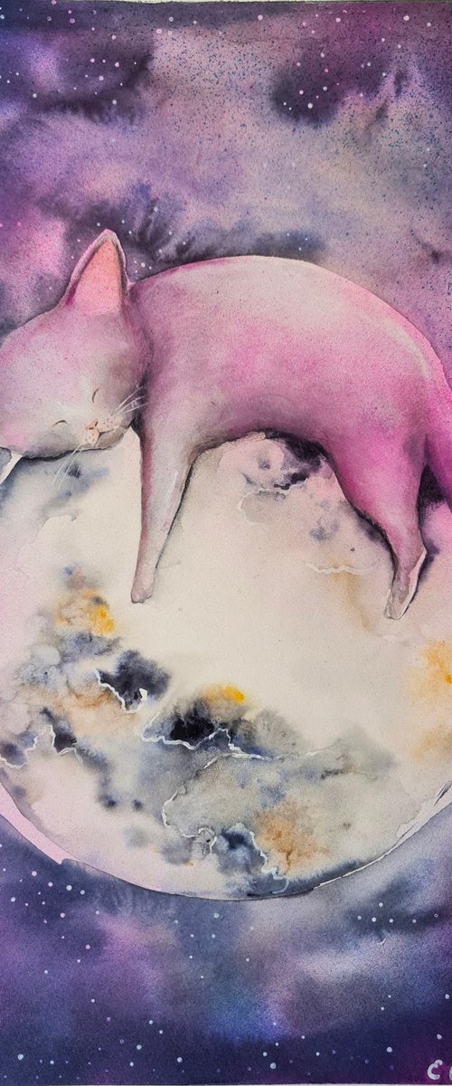Moonlight Nap by Evgenia Smirnova