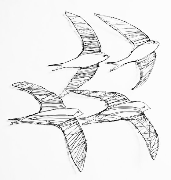 Four swifts in flight