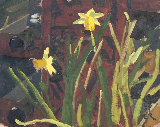 Daffodils & Wine Rack