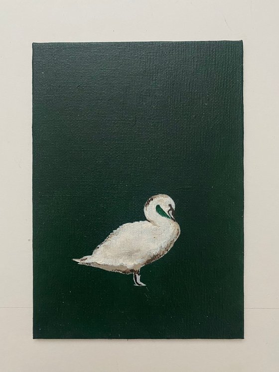 Little swan in frame