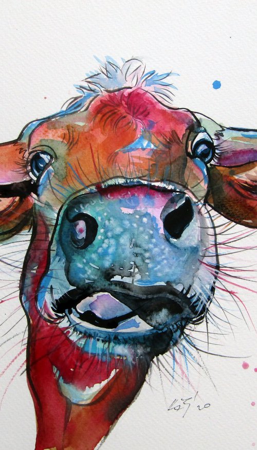 Cute cow by Kovács Anna Brigitta