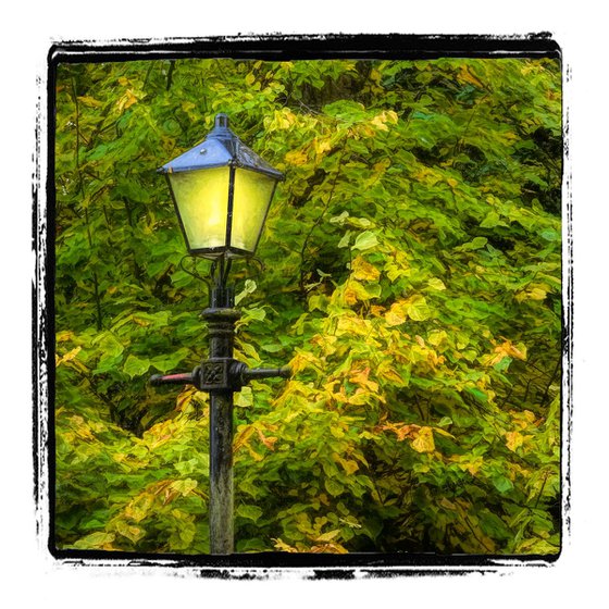 Autumn Street Lamp
