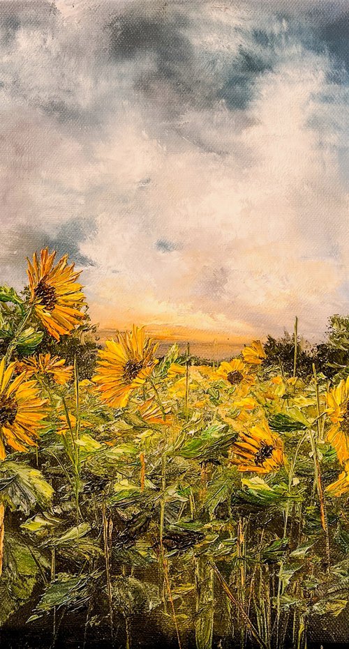A Sunny Meadow by Kimberley  Harris