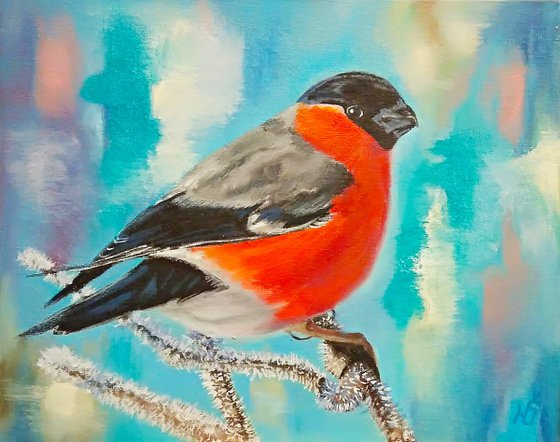 Bullfinch bird on a branch