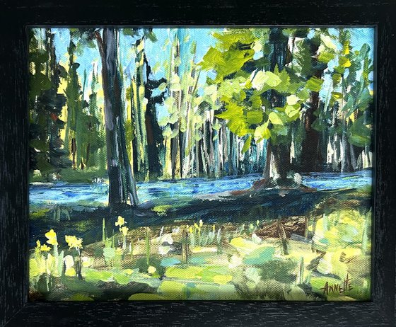 Forest River