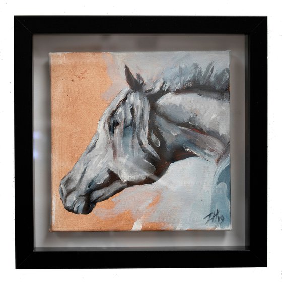 Family Equidae (study 24)