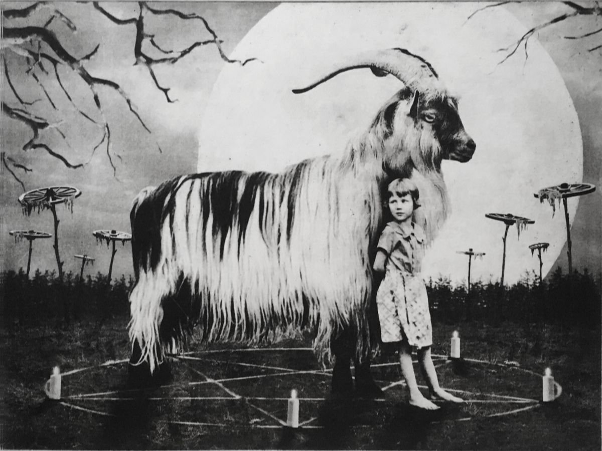 Exterior No.8: The Girl and The Goat by Jaco Putker