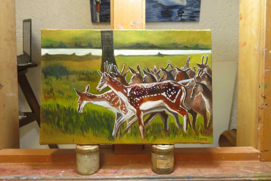 Deers, Original Oil Painting by Anne Zamo