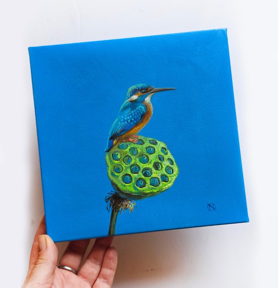 Kingfisher Bird