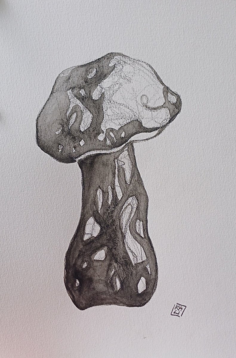 Impressionistic Botanical Charcoal Drawing By Karin Lichtenegger, 8 X 11", Porcino, Original Artwork