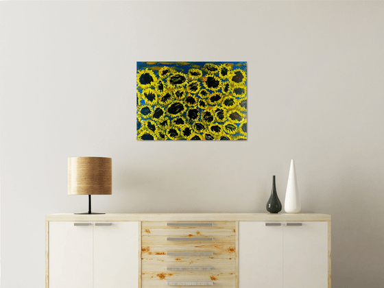 Blooming sunflowers 7