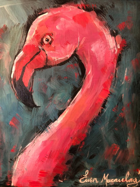 Flamingo